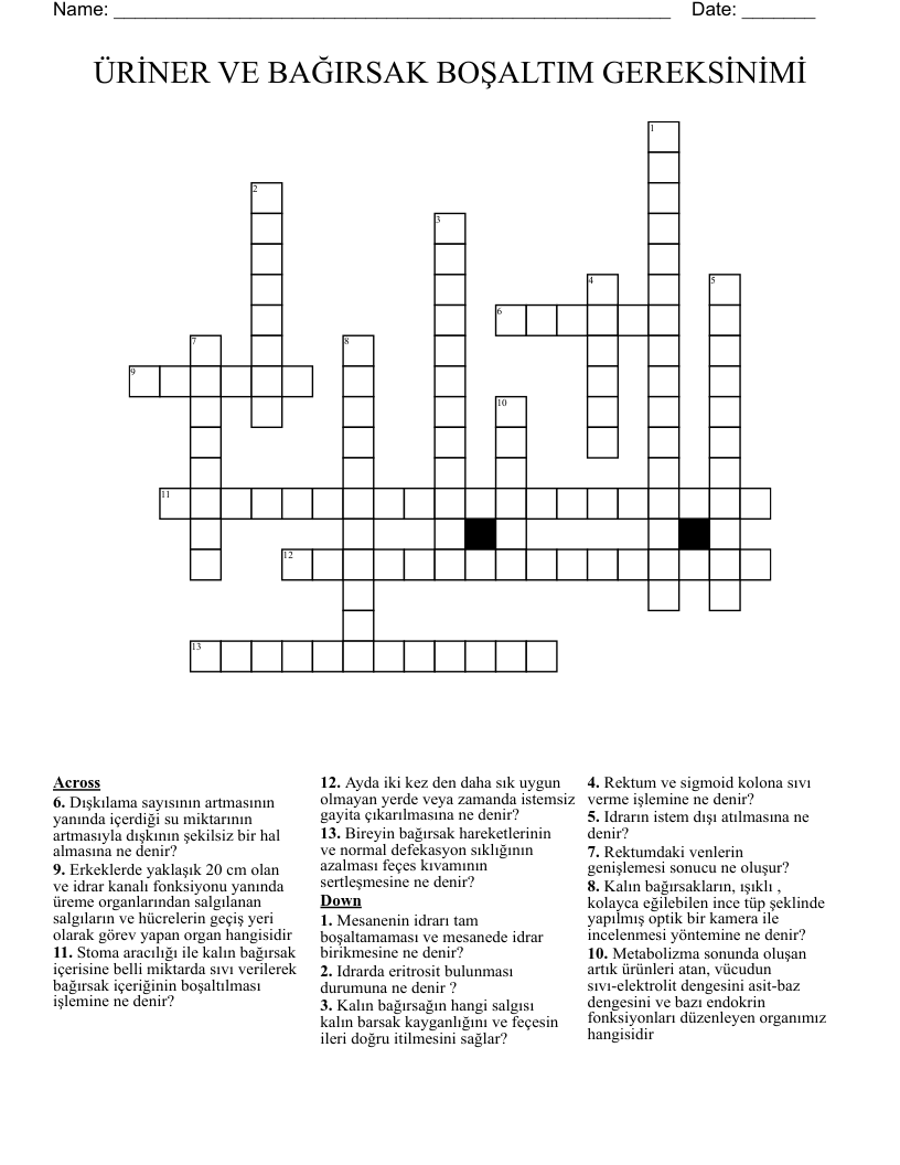 ÜRİNER VE BAĞIRSAK BOŞALTIM GEREKSİNİMİ Crossword
