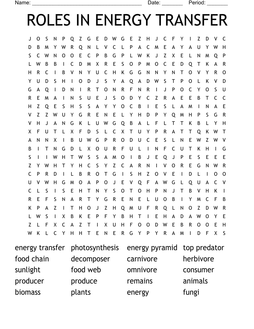 ROLES IN ENERGY TRANSFER Word Search