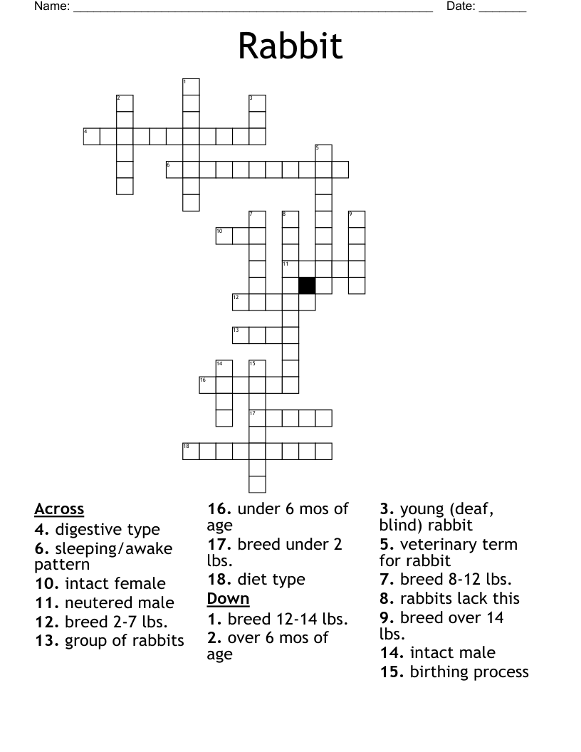 Rabbit Crossword