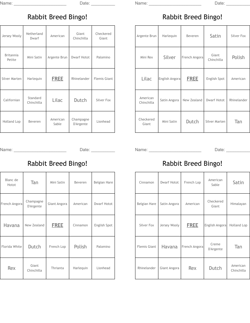 Rabbit Breed Bingo!