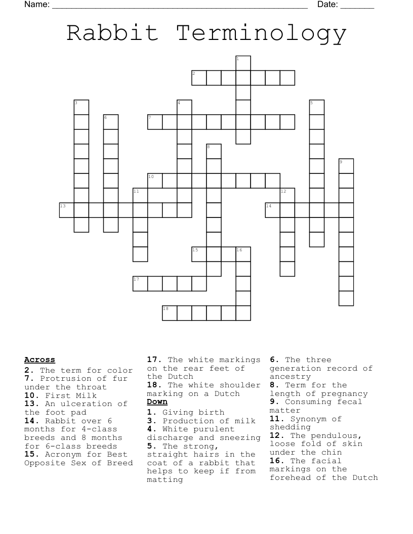 Rabbit Terminology Crossword