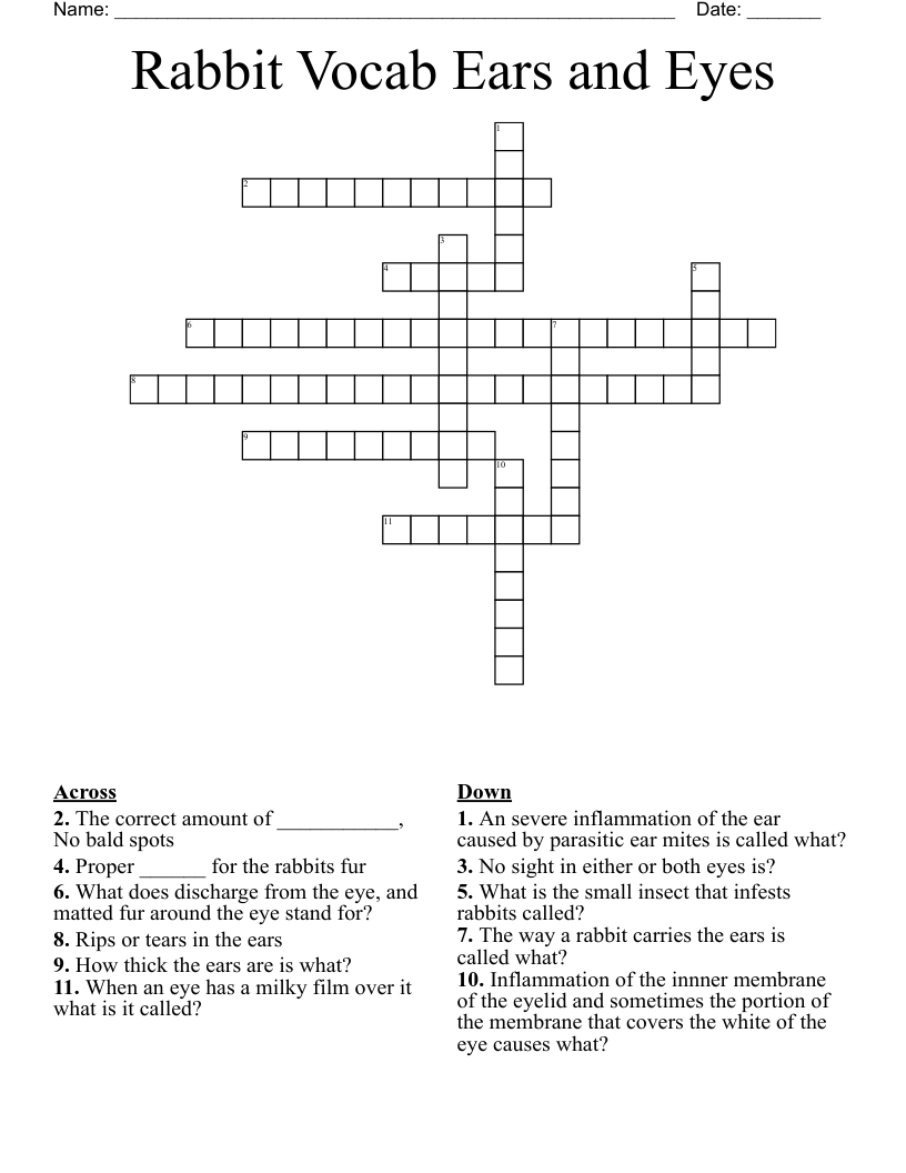 Rabbit Vocab Ears and Eyes Crossword