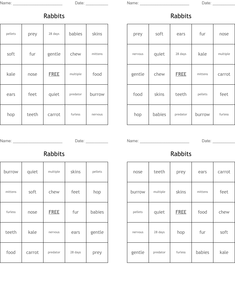 Rabbits Bingo Cards