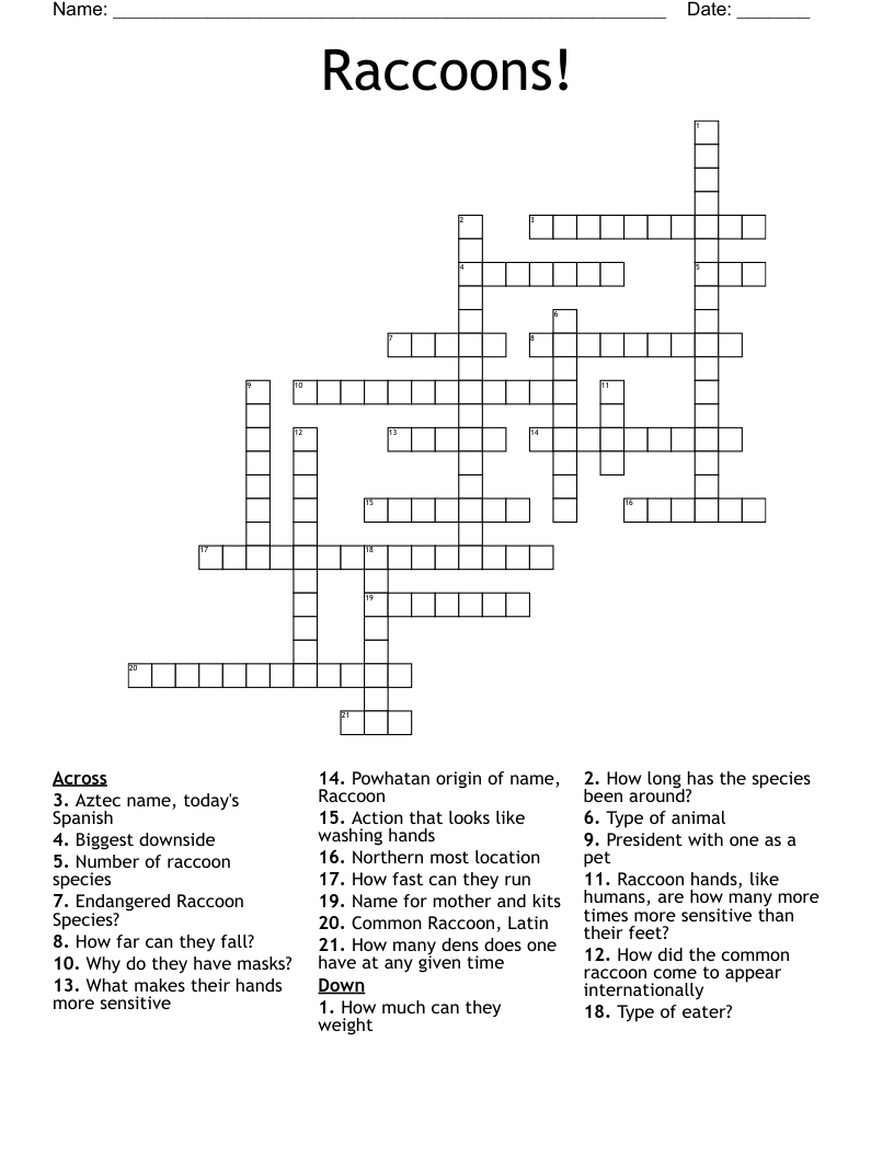 Raccoons!  Crossword