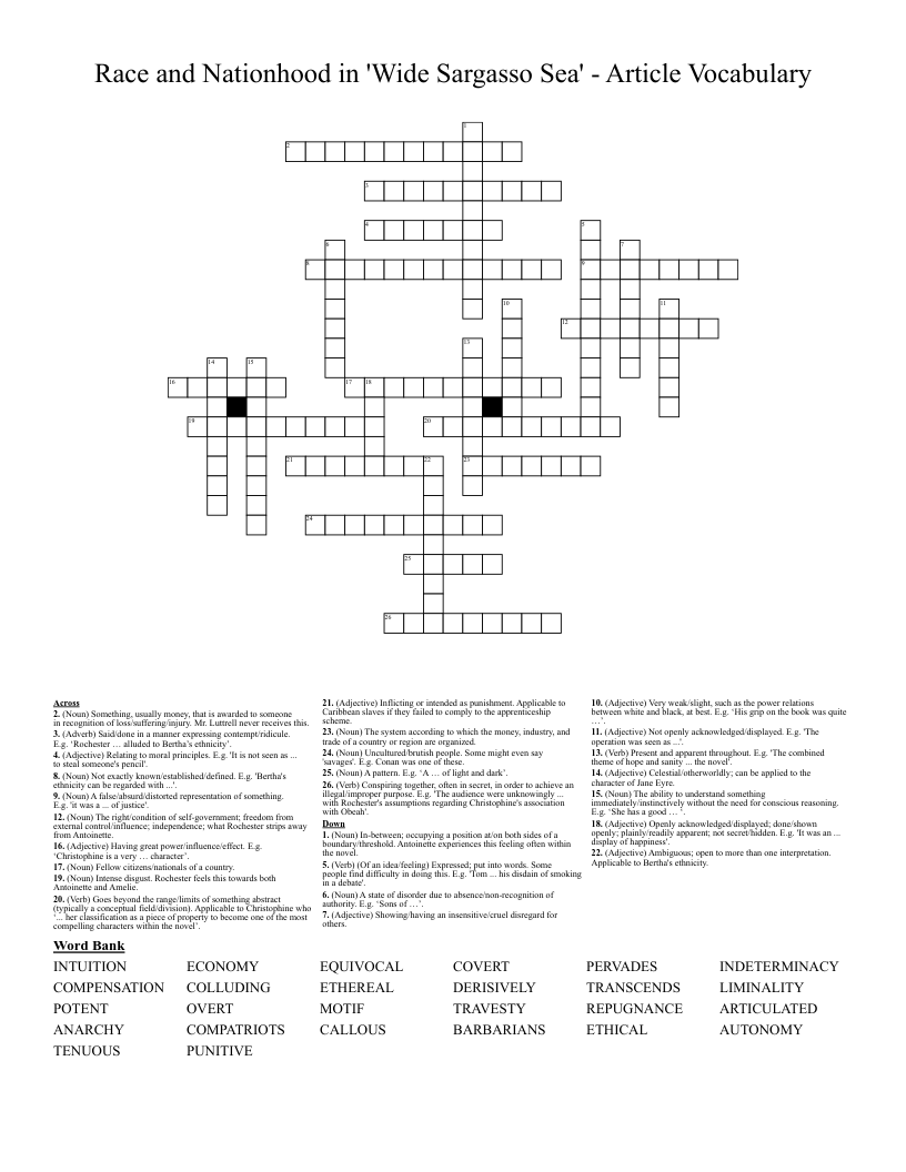 Race and Nationhood in 'Wide Sargasso Sea' - Article Vocabulary Crossword