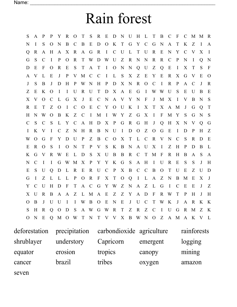 Rain forest Word Search