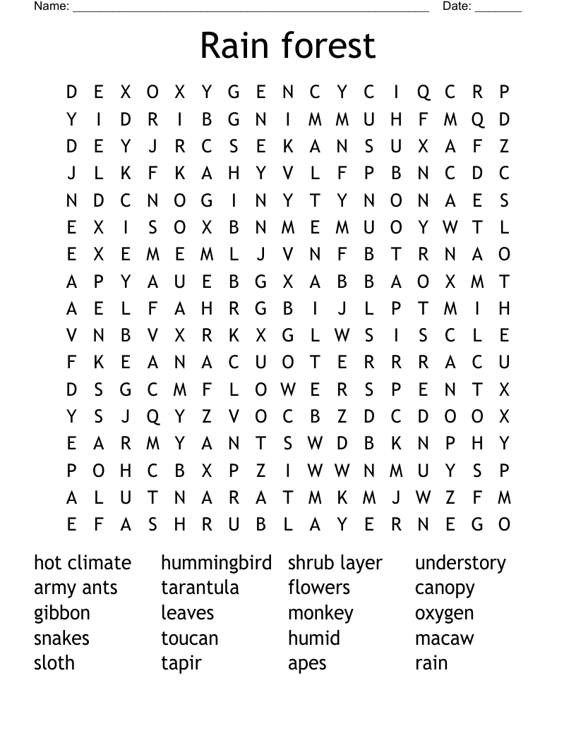 Rain forest  Word Search