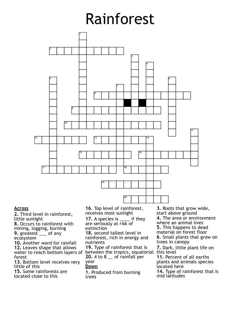 Rainforest Crossword