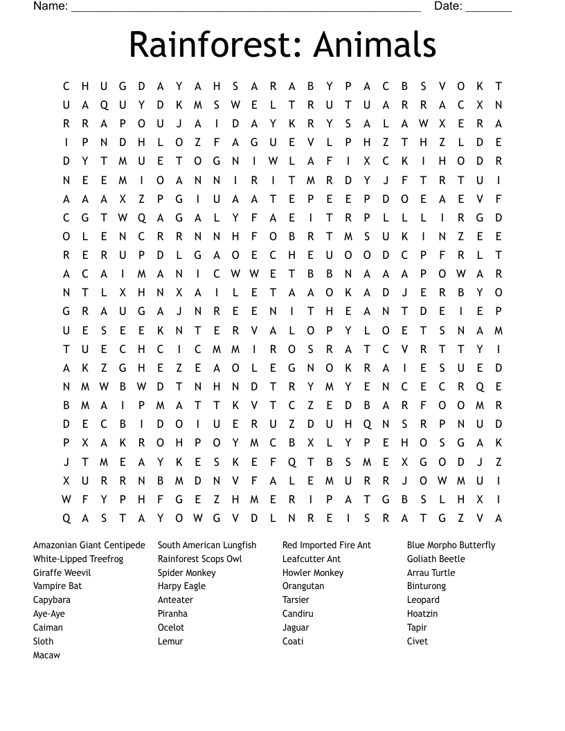 Rainforest: Animals Word Search