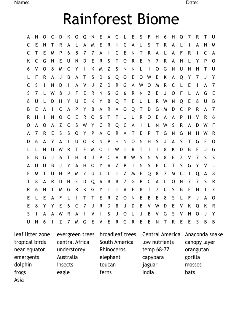 Rainforest Biome Word Search