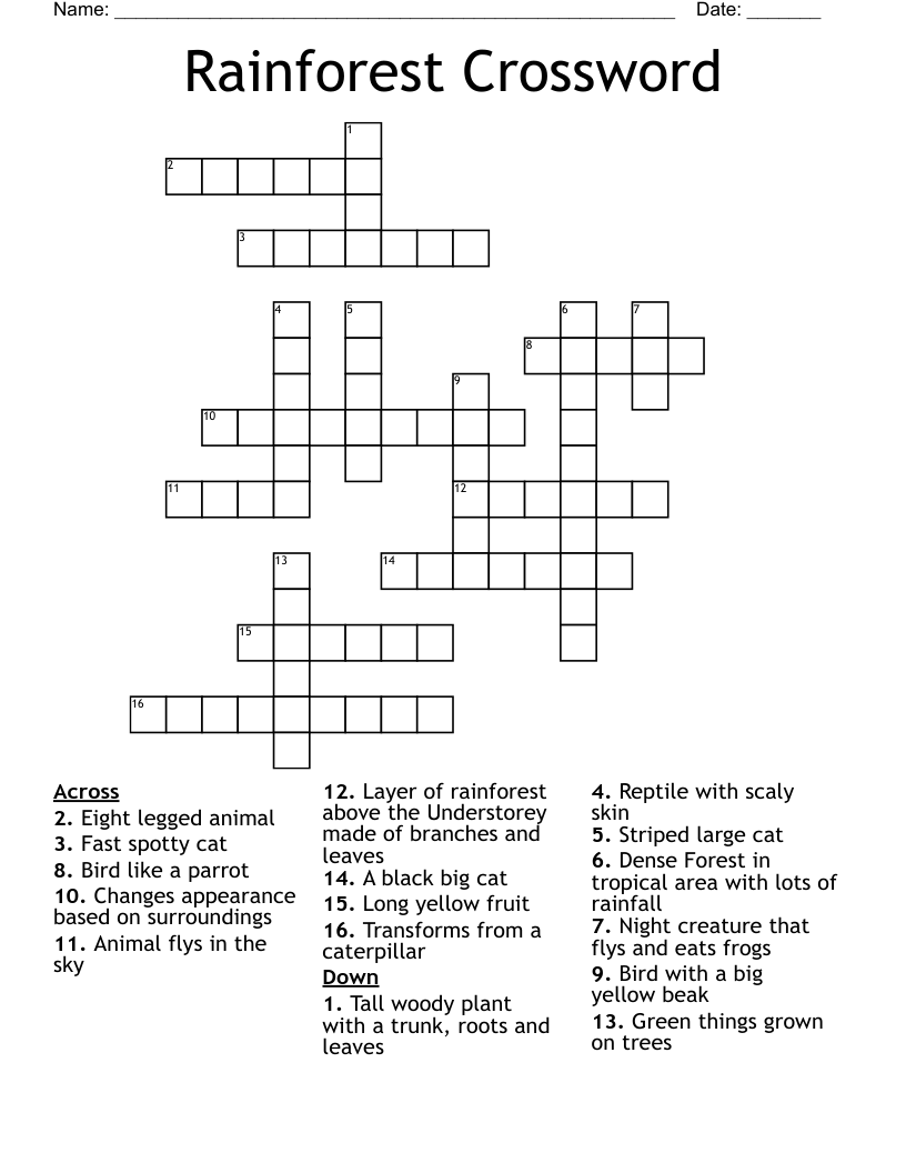 Rainforest Crossword