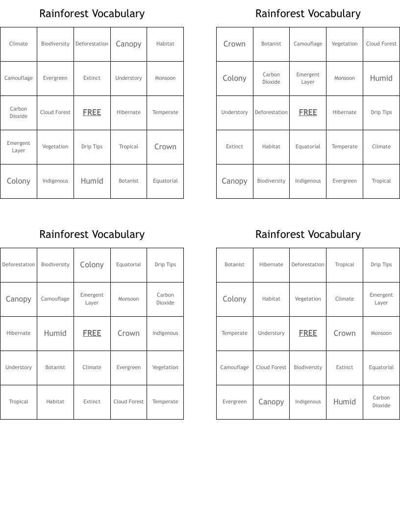 Rainforest Vocabulary Bingo Cards