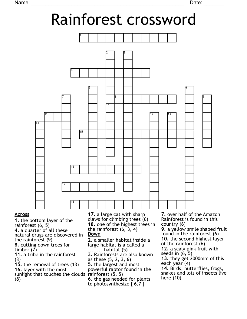 Rainforest crossword