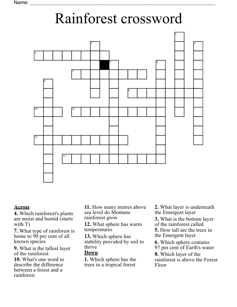 Rainforest crossword