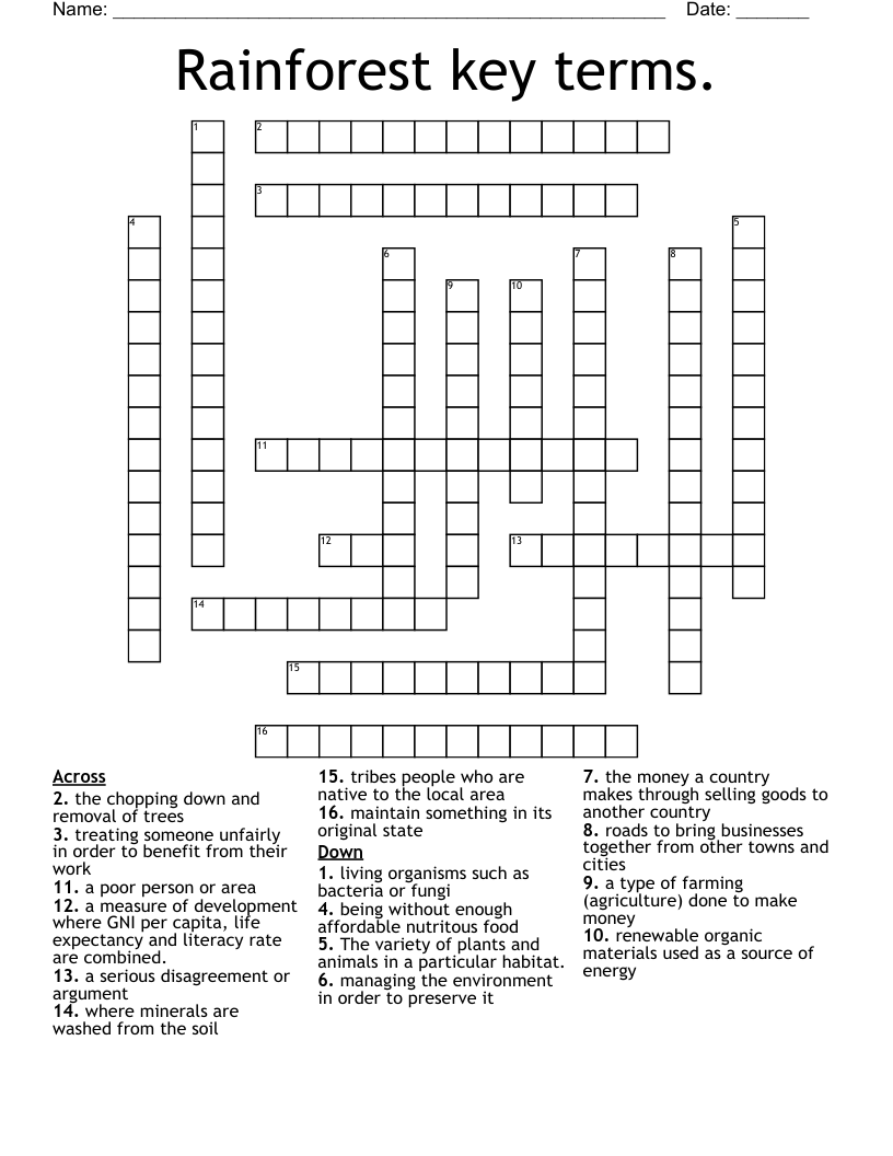 Rainforest key terms. Crossword