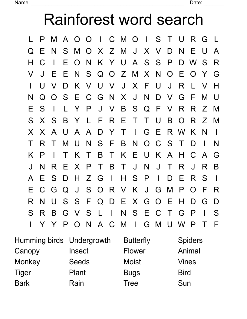 Rainforest word search 