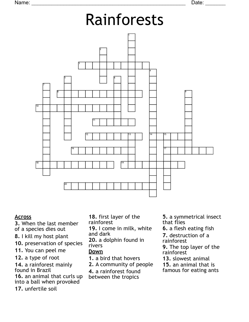 Rainforests Crossword