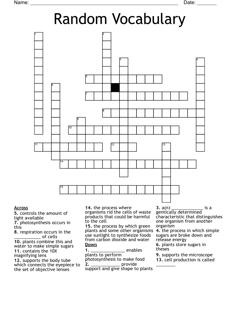 Random Vocabulary Crossword
