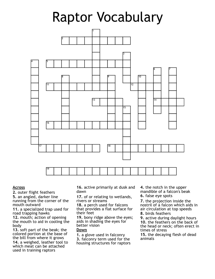 Raptor Vocabulary Crossword