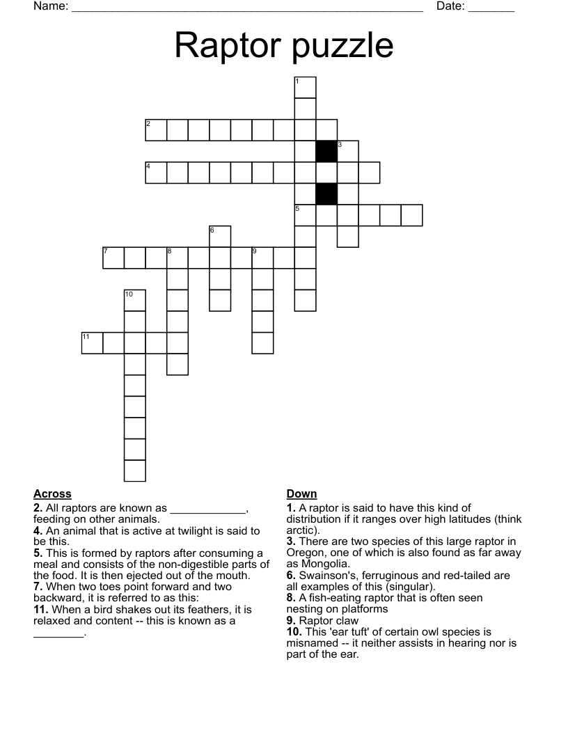 Raptor puzzle Crossword