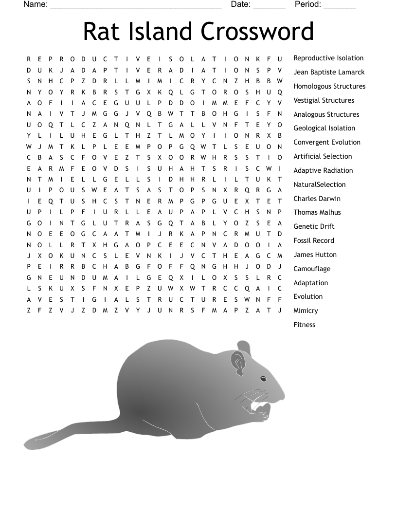 Rat Island Crossword Word Search