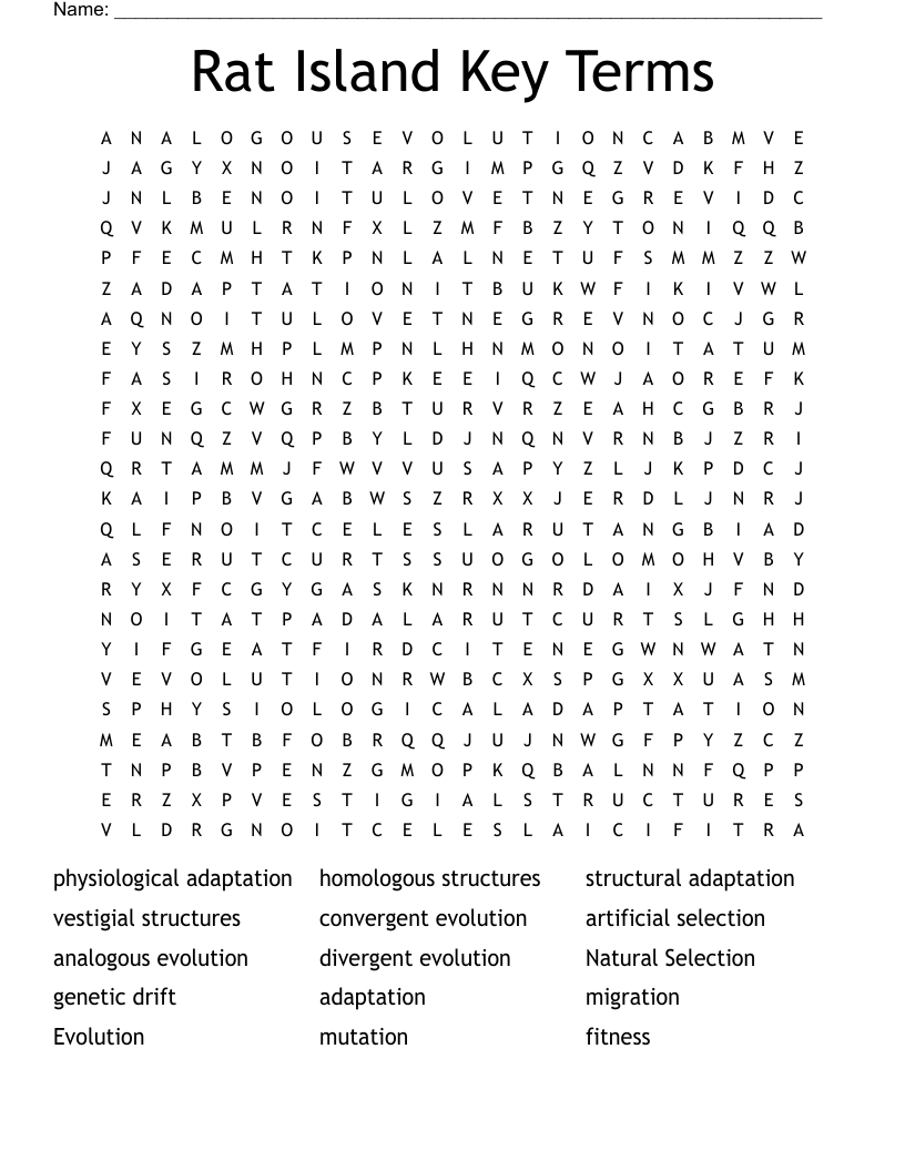 Rat Island Key Terms Word Search