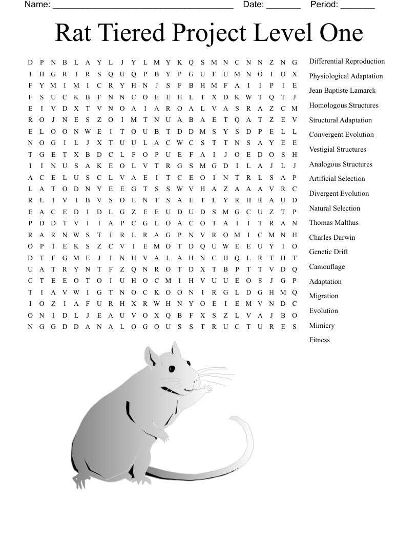 Rat Tiered Project Level One Word Search