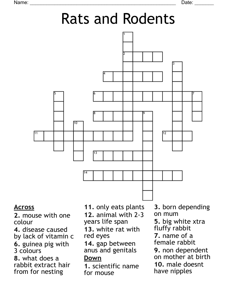 Rats and Rodents Crossword