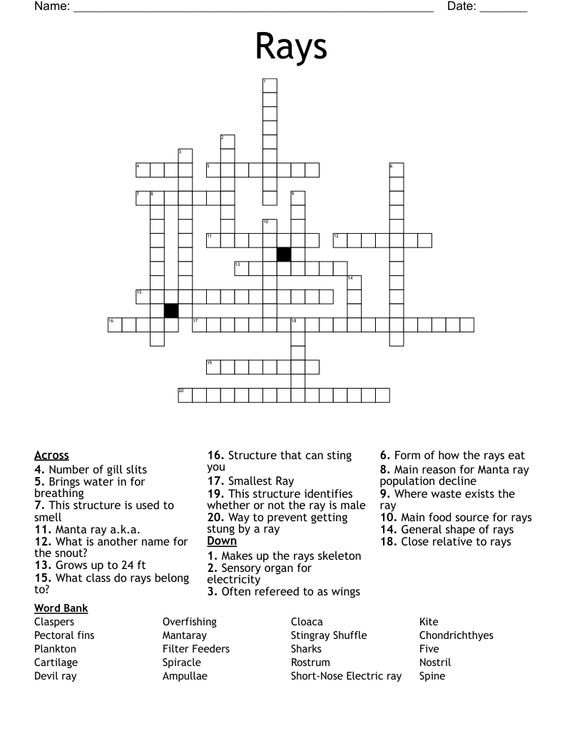 Rays Crossword