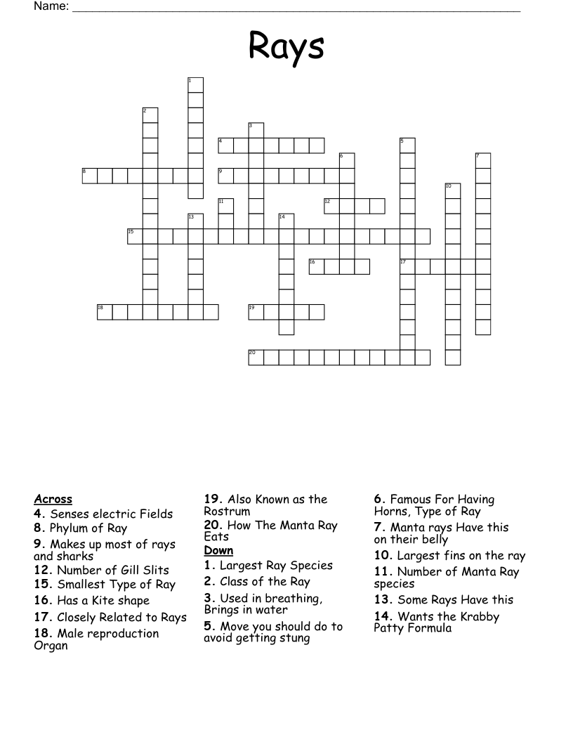 Rays  Crossword