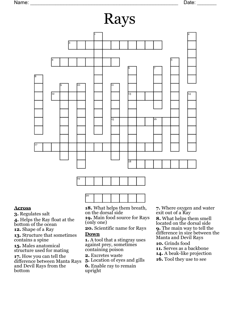 Rays  Crossword