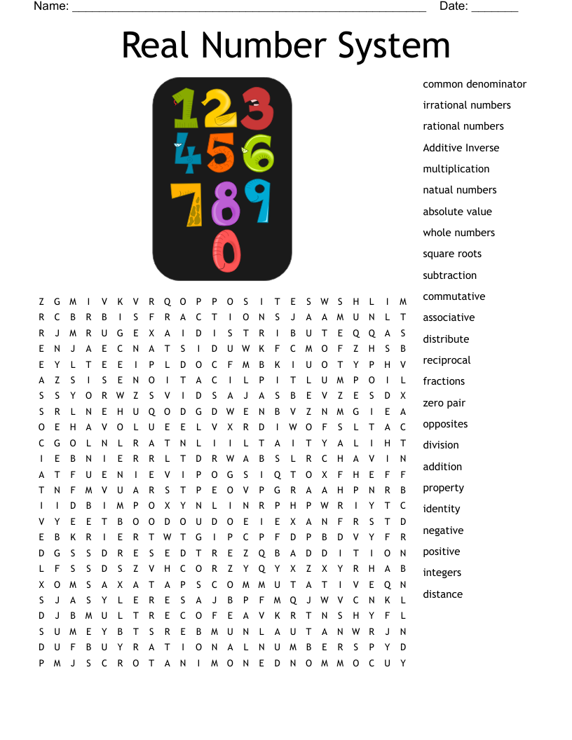 Real Number System Word Search