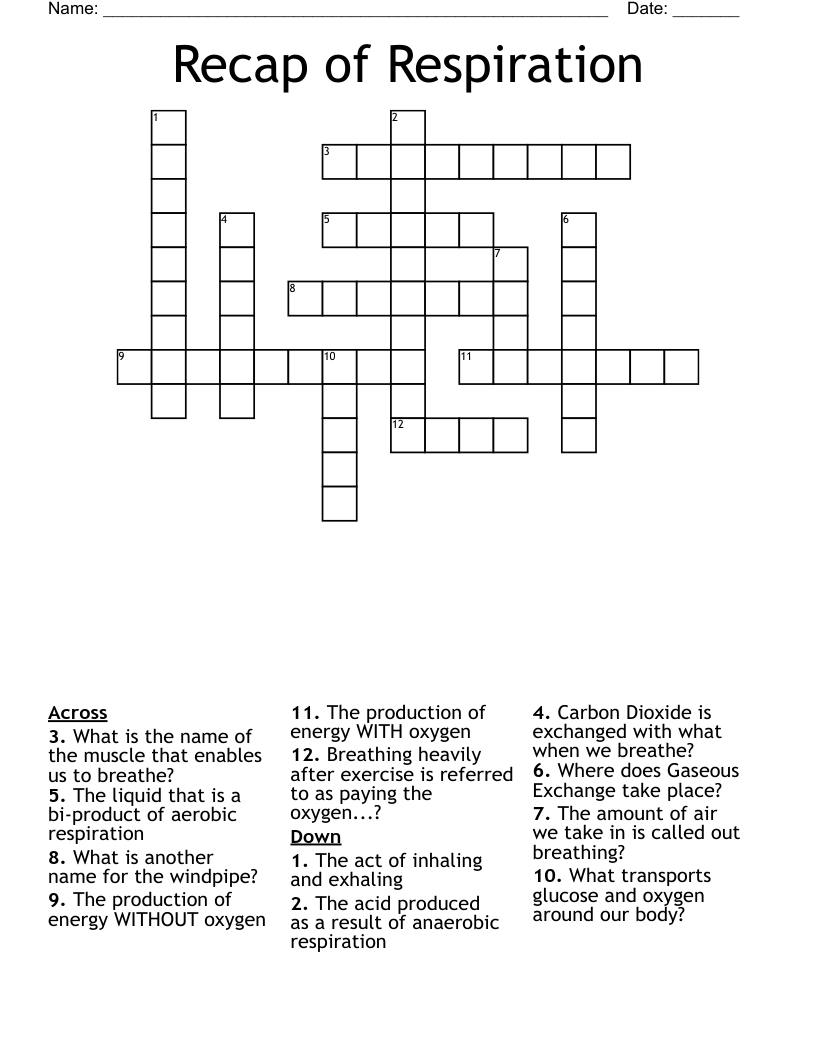Recap of Respiration  Crossword