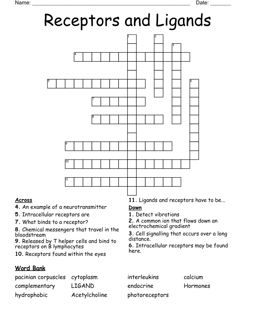 Receptors and Ligands Crossword