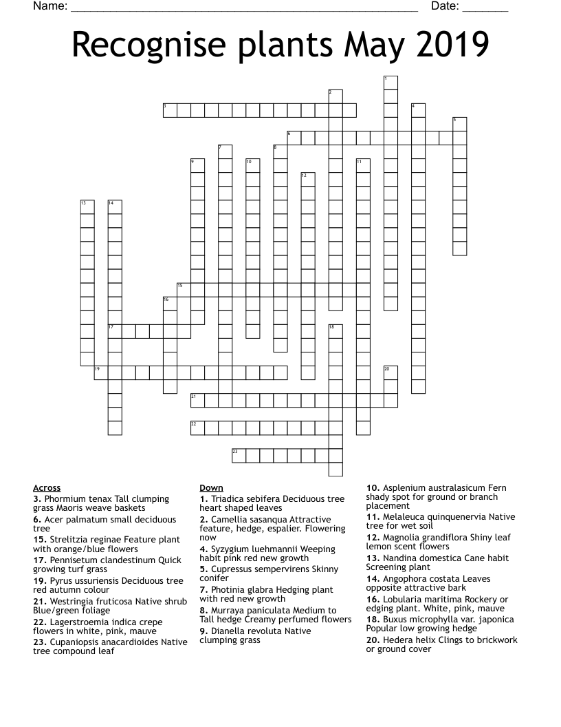 Recognise plants May 2019 Crossword
