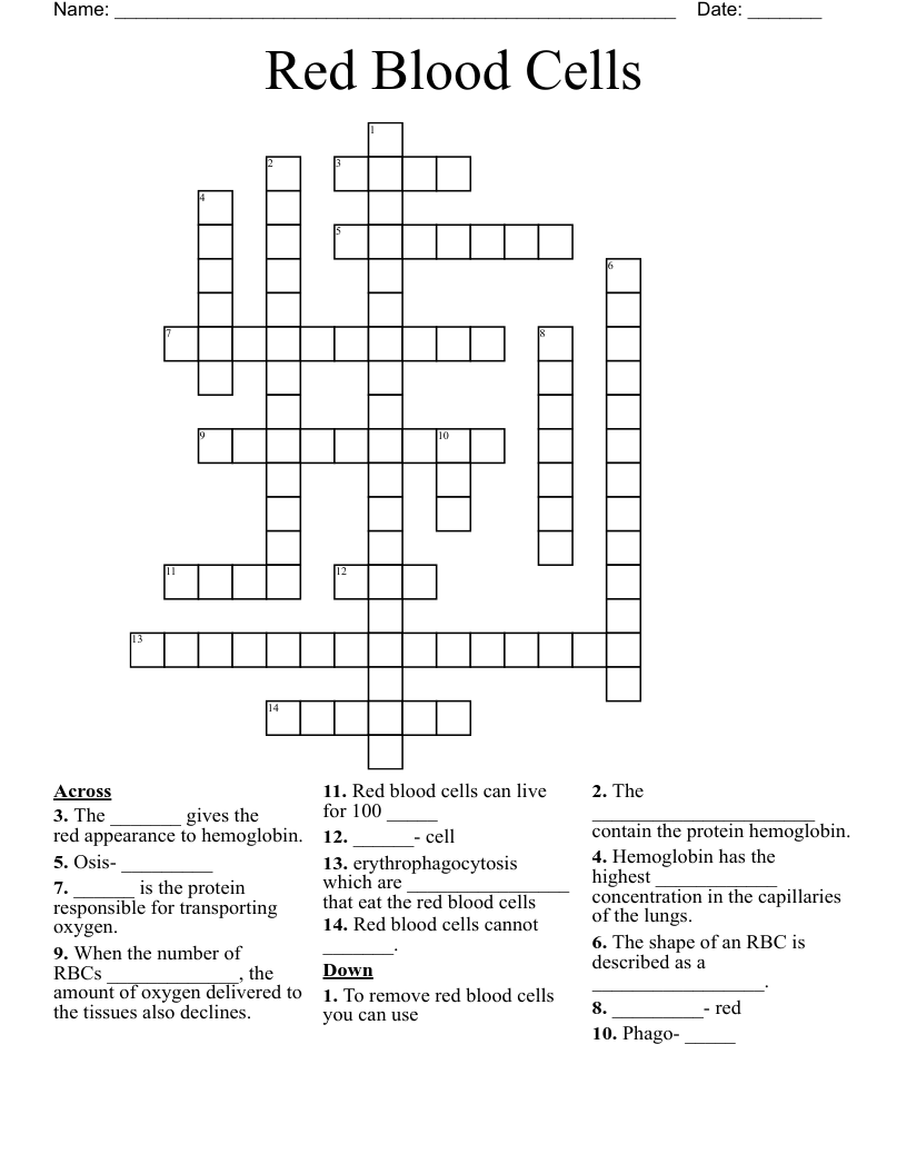 Red Blood Cells  Crossword