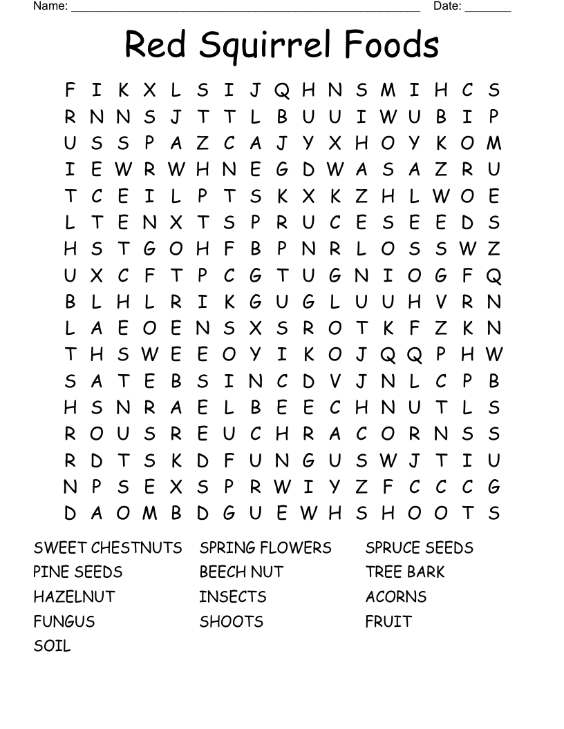 Red Squirrel Foods Word Search