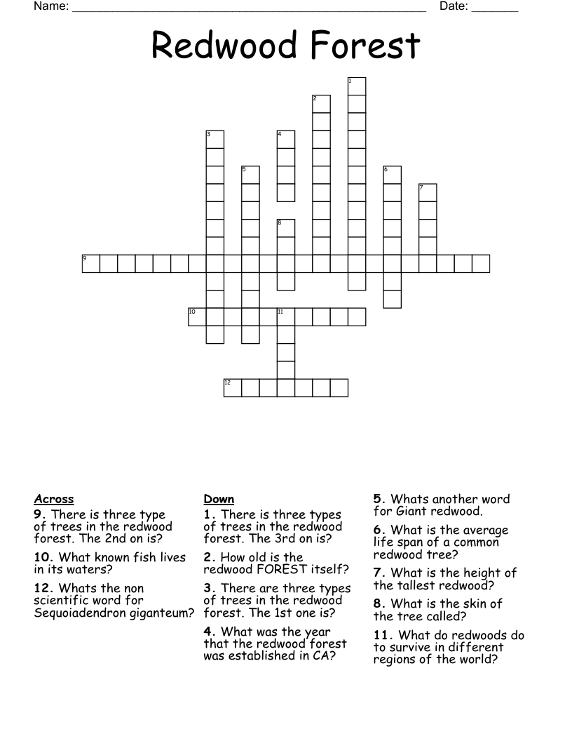 Redwood Forest  Crossword