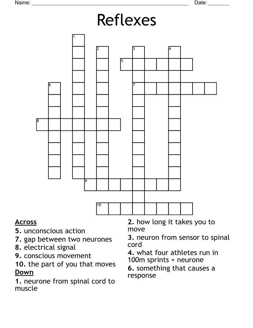 Reflexes  Crossword
