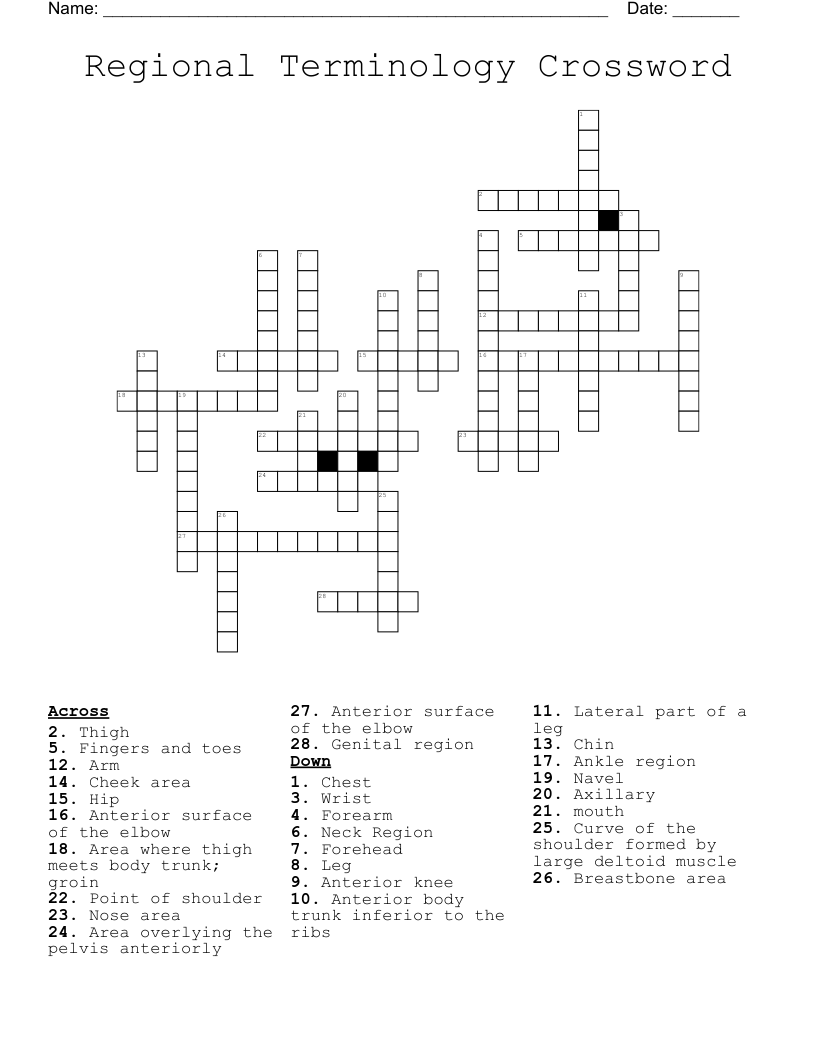 Regional Terminology Crossword