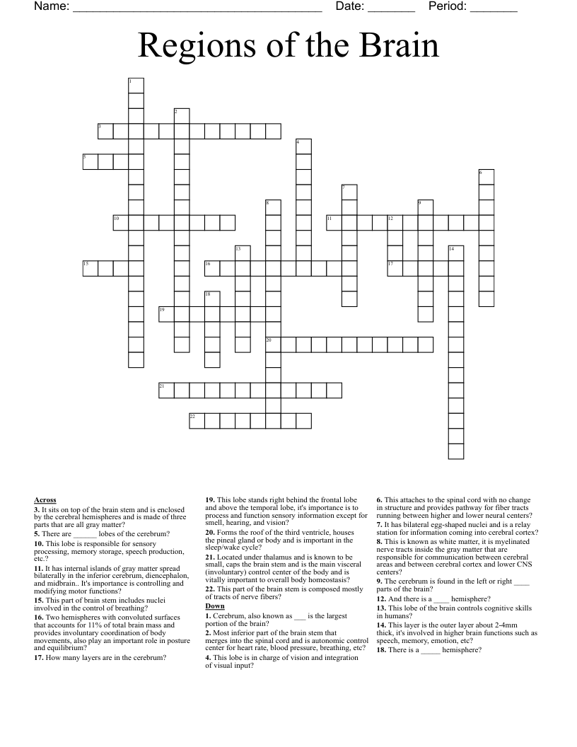 Regions of the Brain Crossword