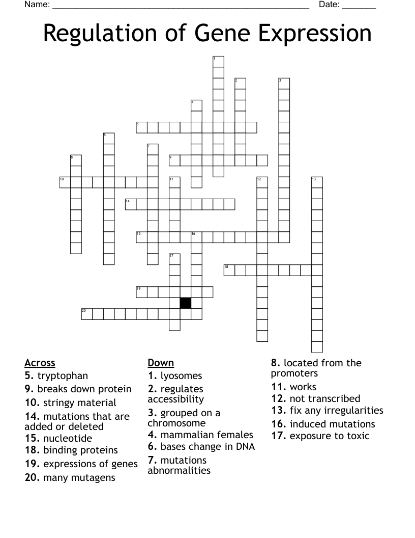 Regulation of Gene Expression Crossword