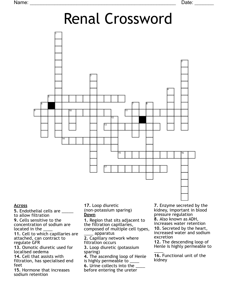 Renal Crossword