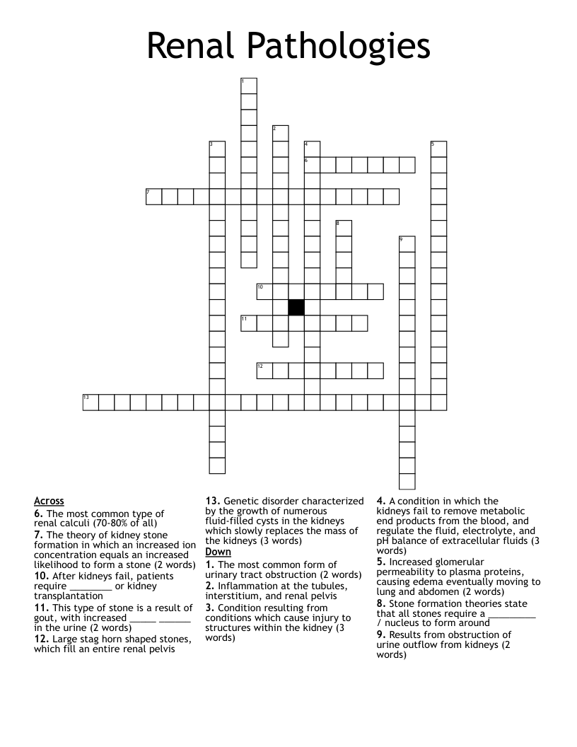Renal Pathologies Crossword