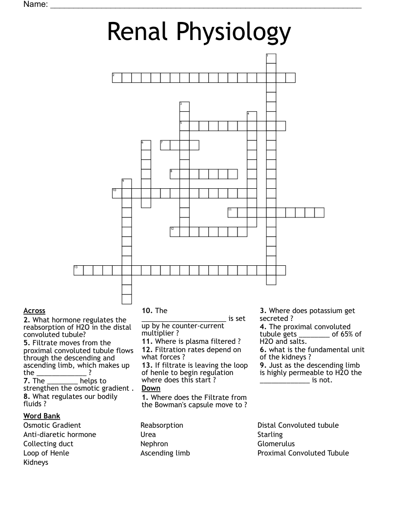 Renal Physiology  Crossword
