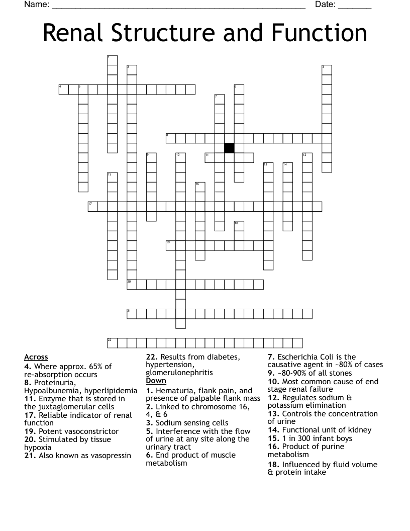 Renal Structure and Function Crossword