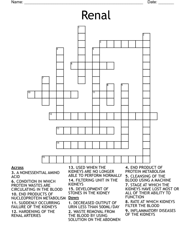Renal  Crossword