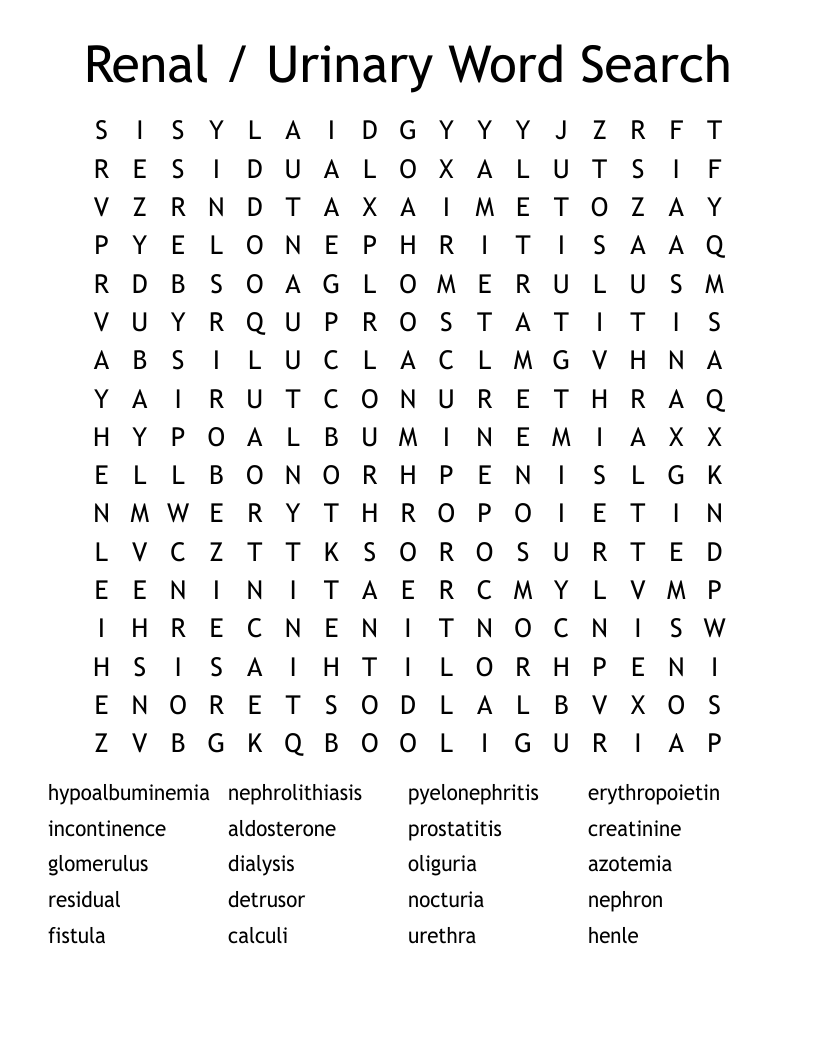 Renal / Urinary Word Search