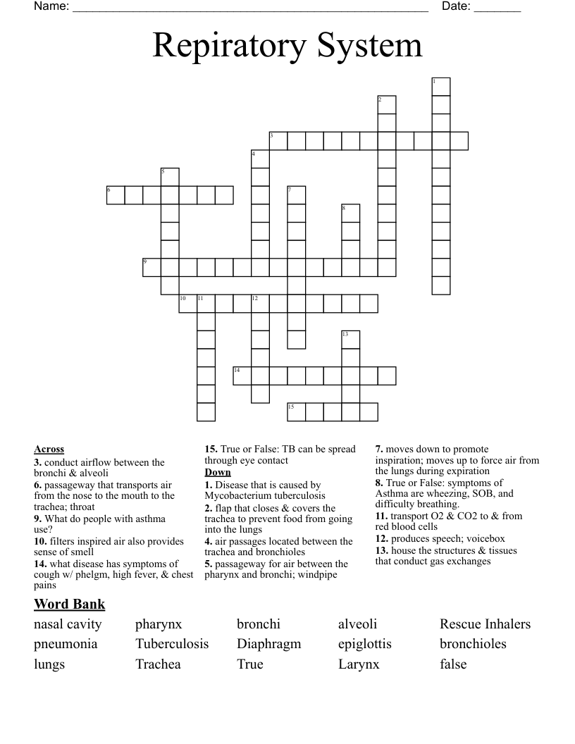 Repiratory System Crossword
