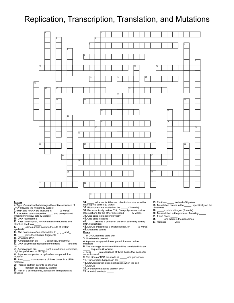 Replication, Transcription, Translation, and Mutations Crossword